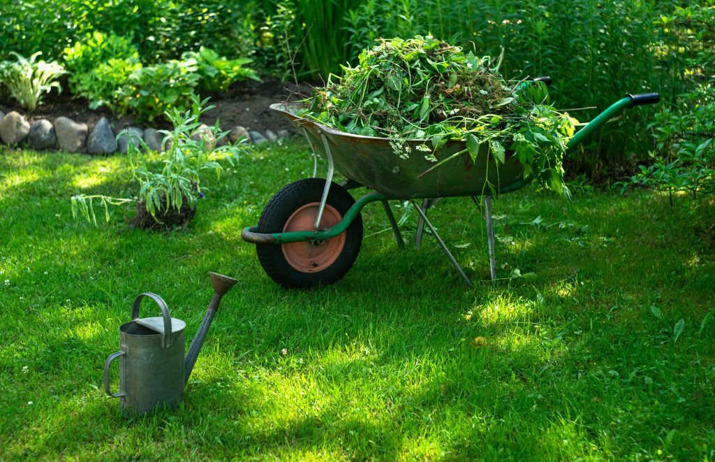 how-to-properly-treat-yard-waste